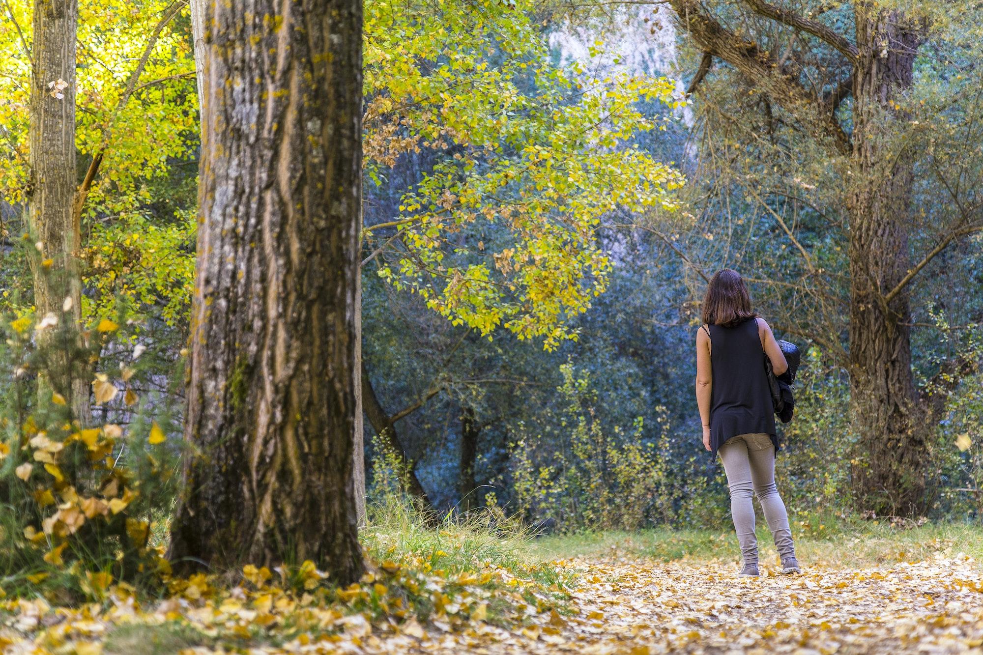 Paseo por el bosque en otoño durante una escapada romántica en Segovia